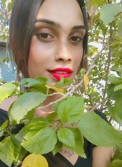 Payal Jaan - Transsexual escort in Kolkata Photo 23 of 23