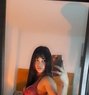 SEX CAM AND SELL VIDEOS STELA - Transsexual escort in Hamilton, New Zealand Photo 1 of 1