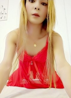 PAYPAL/ WESTERNUNION CAM SHOW - Transsexual escort in Manila Photo 7 of 9