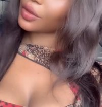 Peace - escort in Cairo