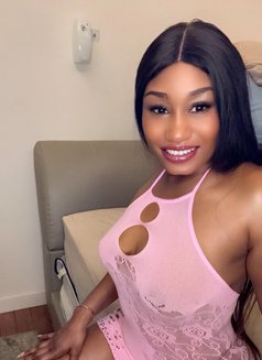 Peach Allura juicy pussy - escort in Kuala Lumpur Photo 21 of 21