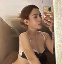 Peachy - Transsexual escort in Manila