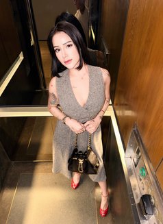 PEANUT BUTTER VVIP SERVICES - Acompañantes transexual in Surabaya Photo 3 of 30