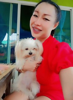 Pear2529 - Intérprete de adultos in Pattaya Photo 3 of 8