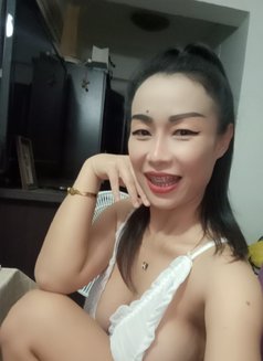 Pear2529 - escort in Pattaya Photo 1 of 12