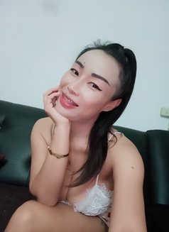 Pear2529 - escort in Pattaya Photo 8 of 12