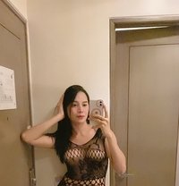 Pearja 7 Inch Hard Gear - Transsexual escort in Singapore