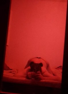 Peeka - Transsexual escort in Tunis Photo 6 of 6