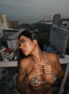 Peerawat Ice - Transsexual escort in Pattaya Photo 12 of 19