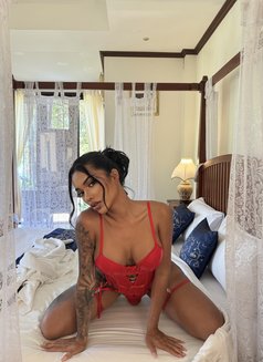 Peerawat Ice - Transsexual escort in Pattaya Photo 18 of 19