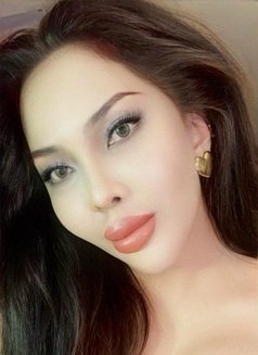 Penelope miemhie - Transsexual escort in Dammam Photo 24 of 28