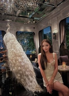 Hungry bottom for your big one - Transsexual escort in Bangkok Photo 1 of 18