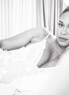 Pennyfin - Acompañantes transexual in Bangkok Photo 15 of 22