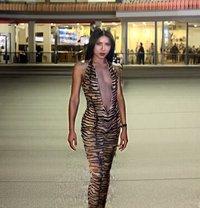 Peony Ts Thai - Transsexual escort in Paris