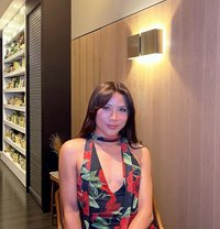 Alice Ts Thai - Transsexual escort in Paris