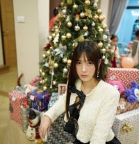 Pepi Korean influencer - Transsexual escort in Singapore