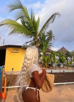 Chocolate Shemale currently in Abidjan - Transsexual escort in Abidjan Photo 4 of 15