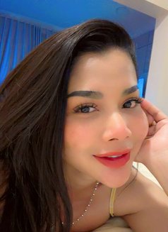 Perfect Thailand - escort in Dammam Photo 8 of 10