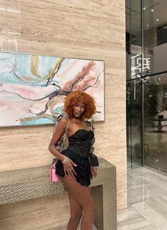 Peri – Your Warm African Gfe Dream - escort in Dubai Photo 3 of 6