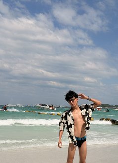 Persian Boy - Male escort in İstanbul Photo 1 of 5