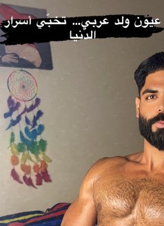 Persian really massage - Male escort in Doha Photo 24 of 25