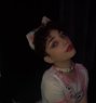 Peter - Acompañantes masculino in Beirut Photo 8 of 8