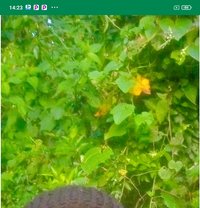 Petertoyboy - Male escort in Chennai