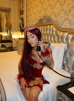 Petit Lua D’angel - Transsexual escort in Dubai Photo 6 of 17