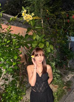 Petite Sweet Chinese Girl - escort in Bali Photo 6 of 6