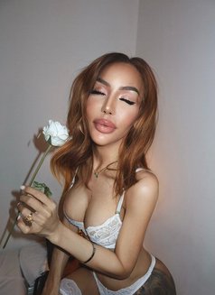 PETITE FEMIMINE BIG DICK TOP TS TIFFANY - Transsexual escort in Vaughan Photo 29 of 29