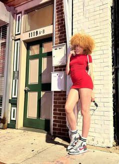 PETITE LEXI - Acompañantes transexual in Amsterdam Photo 2 of 4