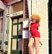 PETITE LEXI - Transsexual escort in Amsterdam