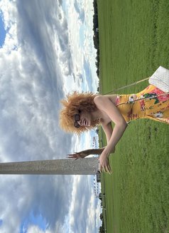 PETITE LEXI - Acompañantes transexual in Amsterdam Photo 3 of 4