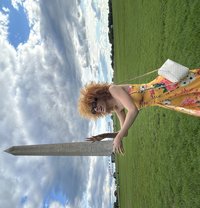 PETITE LEXI - Transsexual escort in Amsterdam