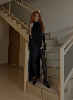 PETITE LEXI - Transsexual escort in Shanghai Photo 4 of 8