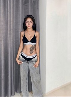 Petite Trans In town, just arrived - Transsexual escort in Cebu City Photo 23 of 23