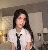 Hot Asian , just arrived - Transsexual escort in Hanoi