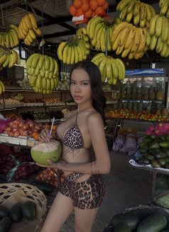 Petite transpinay with a big dick - Transsexual escort in Cebu City Photo 16 of 16