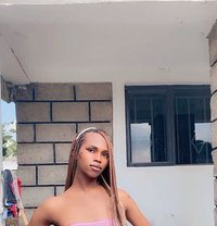Petra Trans - Transsexual escort in Nairobi