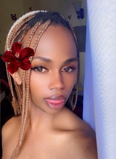 Petra Trans - Transsexual escort in Nairobi Photo 11 of 15