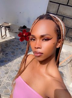 Petra Trans - Transsexual escort in Nairobi Photo 15 of 15