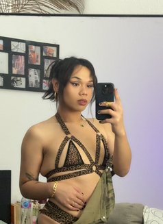 🇵🇭 Polene Arcee v2.0-Natural Queen - Transsexual escort in Dubai Photo 3 of 9
