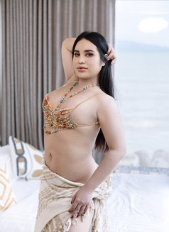 Phakwaran - Transsexual escort in Al Ain Photo 4 of 19