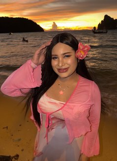 Phakwaran top&bottom - Transsexual escort in Riyadh Photo 12 of 30