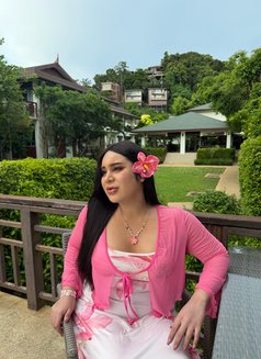 Phakwaran top&bottom - Transsexual escort in Riyadh Photo 8 of 30