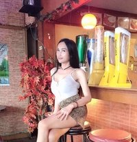 Phatty696969 - Transsexual escort in Bangkok