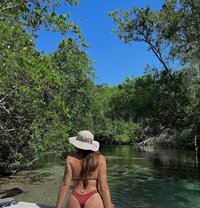 Phella - puta in Erbil