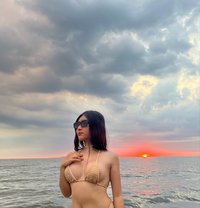 Phia - Acompañantes transexual in Manila