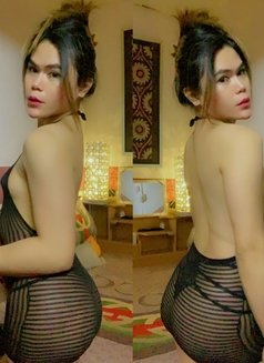 Hard Fucker with the big Dick - Transsexual escort in Manila Photo 9 of 30