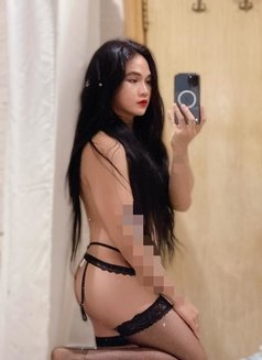 Philippines 🇵🇭 AsianCrosdreser(NEW) - Acompañantes transexual in Doha Photo 11 of 12